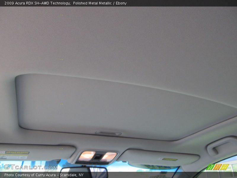 Polished Metal Metallic / Ebony 2009 Acura RDX SH-AWD Technology