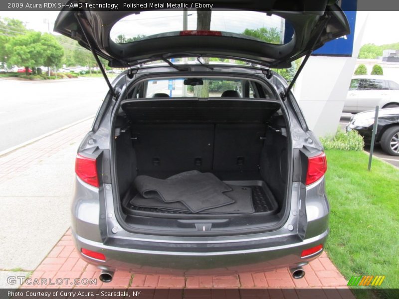 Polished Metal Metallic / Ebony 2009 Acura RDX SH-AWD Technology