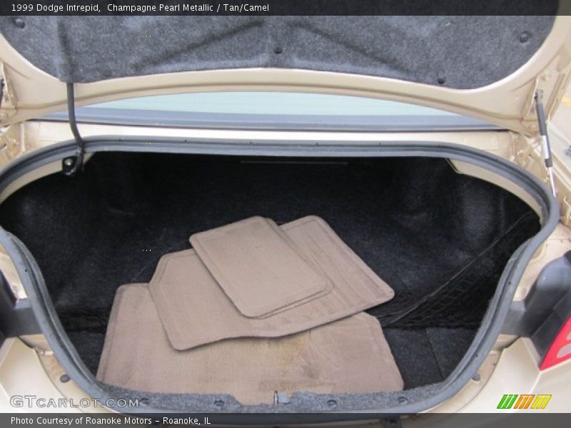 Champagne Pearl Metallic / Tan/Camel 1999 Dodge Intrepid