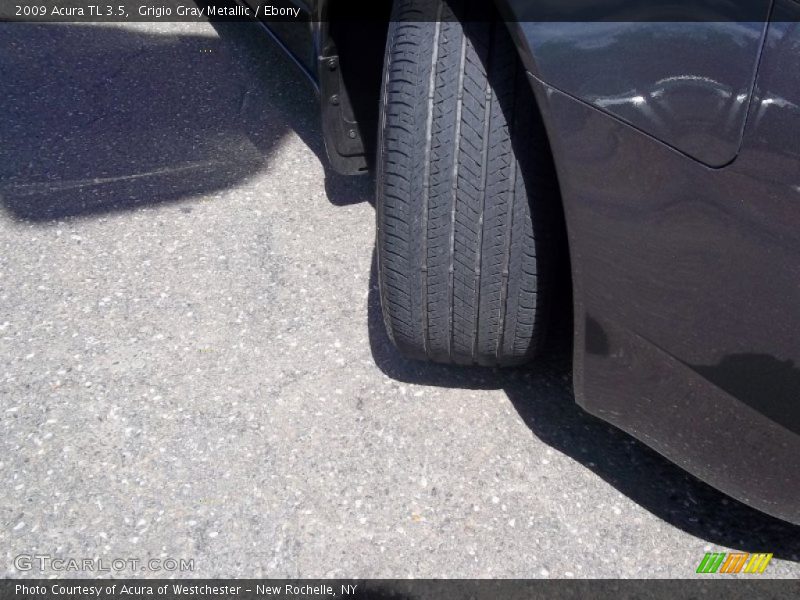 Grigio Gray Metallic / Ebony 2009 Acura TL 3.5