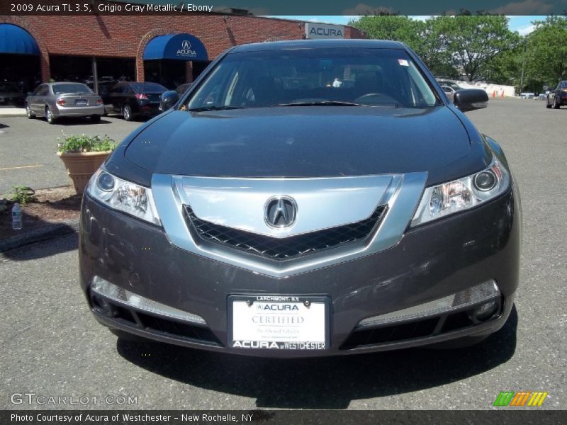 Grigio Gray Metallic / Ebony 2009 Acura TL 3.5