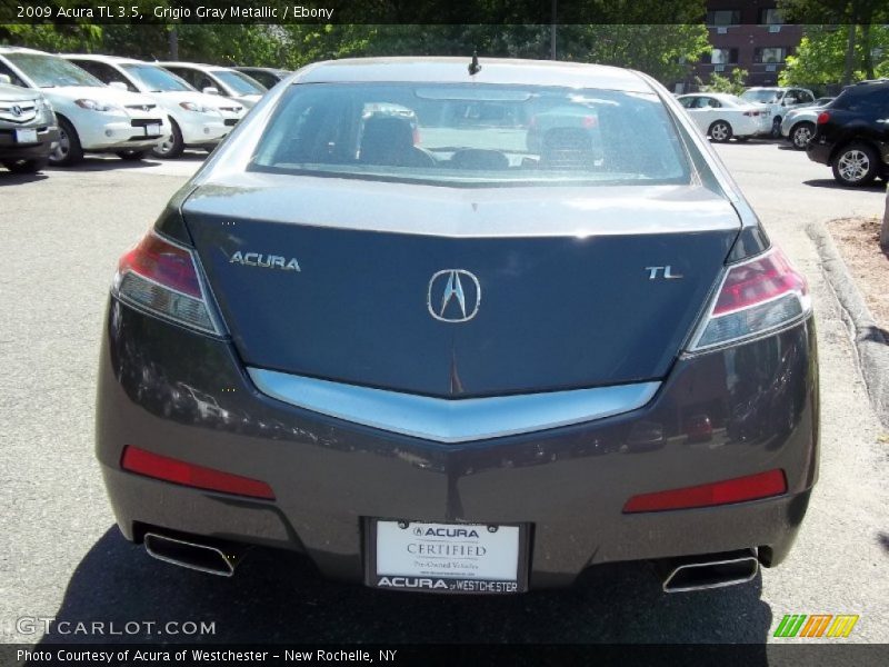 Grigio Gray Metallic / Ebony 2009 Acura TL 3.5