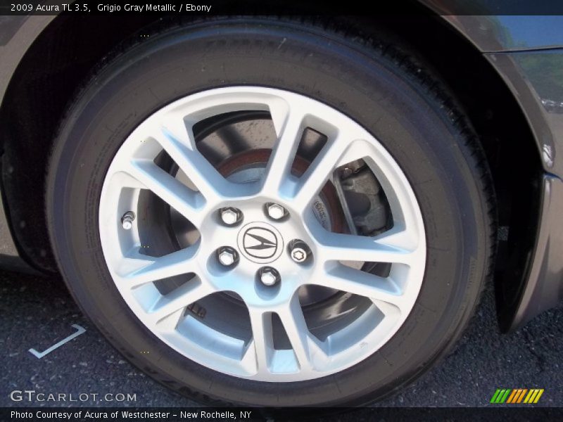 Grigio Gray Metallic / Ebony 2009 Acura TL 3.5