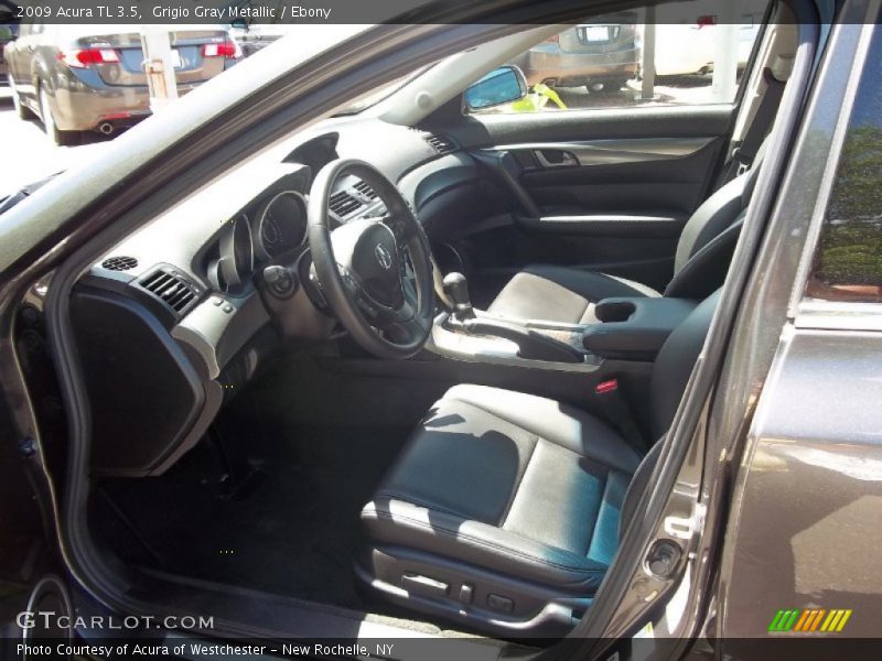 Grigio Gray Metallic / Ebony 2009 Acura TL 3.5