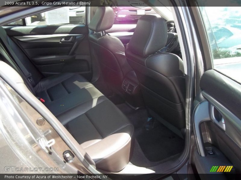 Grigio Gray Metallic / Ebony 2009 Acura TL 3.5