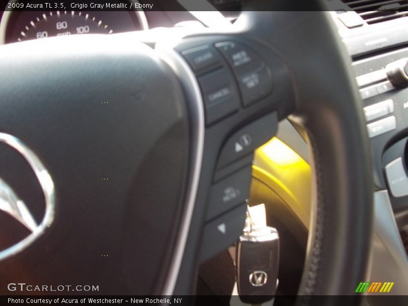 Grigio Gray Metallic / Ebony 2009 Acura TL 3.5