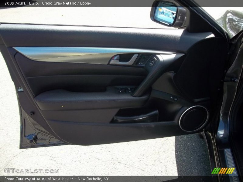 Grigio Gray Metallic / Ebony 2009 Acura TL 3.5