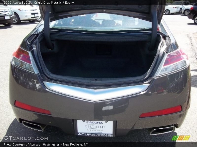 Grigio Gray Metallic / Ebony 2009 Acura TL 3.5
