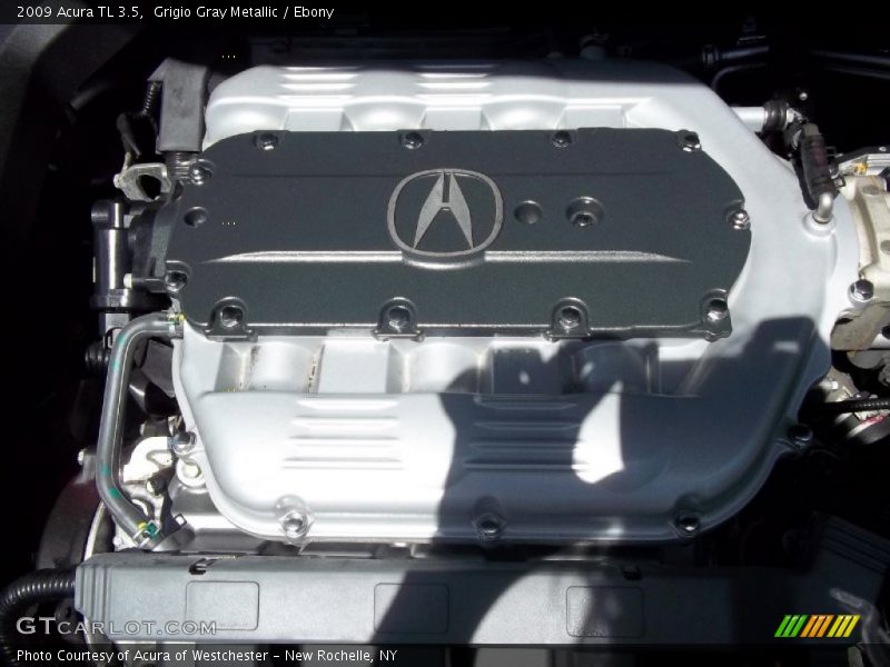 Grigio Gray Metallic / Ebony 2009 Acura TL 3.5