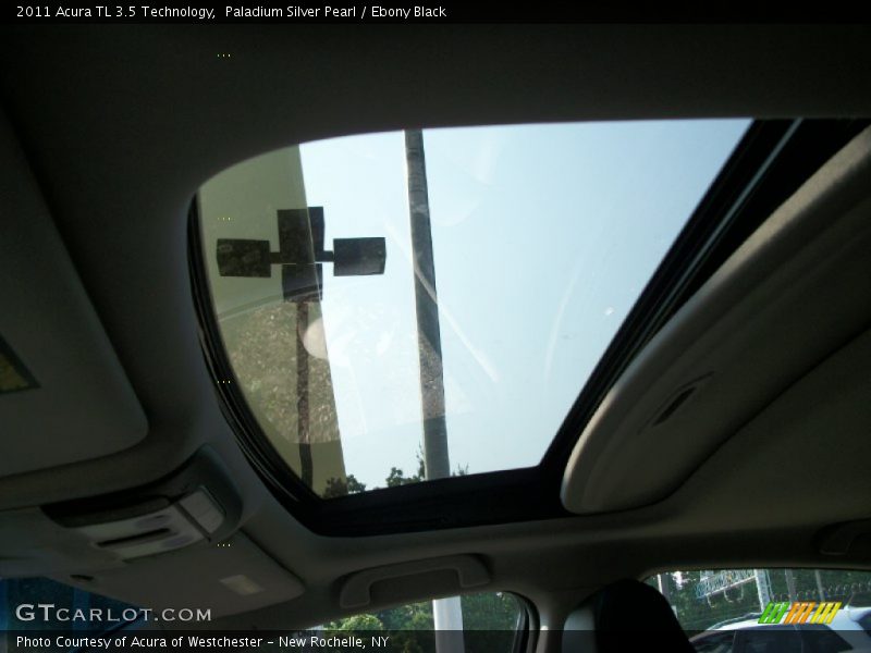 Paladium Silver Pearl / Ebony Black 2011 Acura TL 3.5 Technology