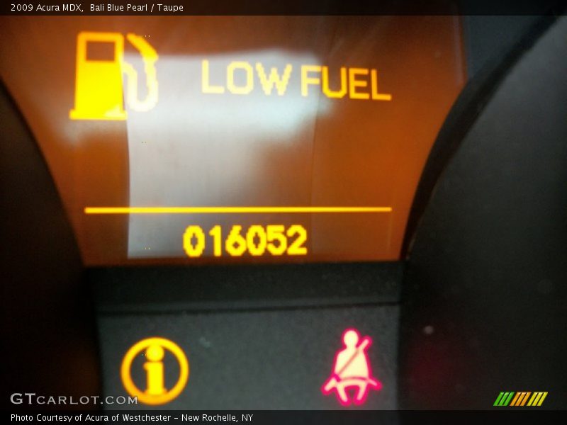 Bali Blue Pearl / Taupe 2009 Acura MDX