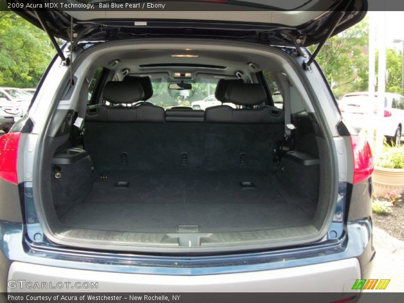 Bali Blue Pearl / Ebony 2009 Acura MDX Technology