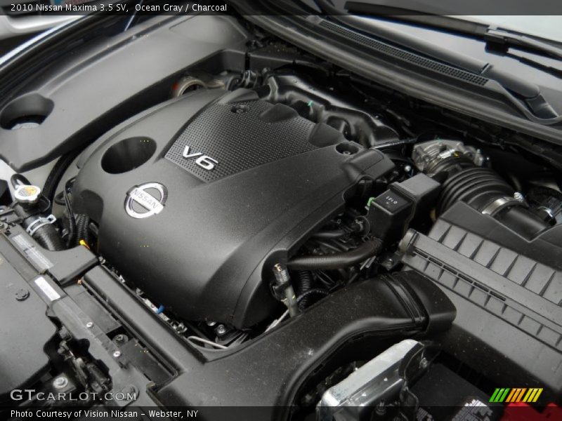 Ocean Gray / Charcoal 2010 Nissan Maxima 3.5 SV
