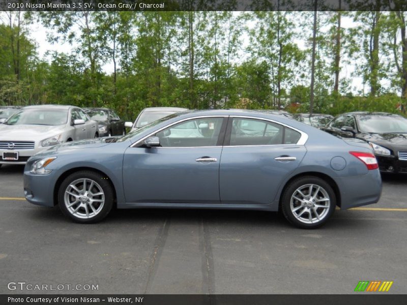 Ocean Gray / Charcoal 2010 Nissan Maxima 3.5 SV