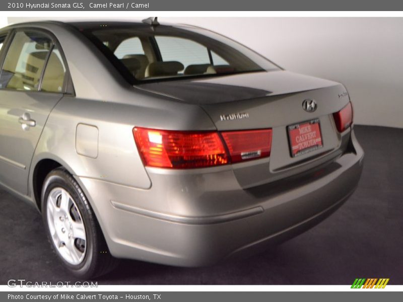 Camel Pearl / Camel 2010 Hyundai Sonata GLS