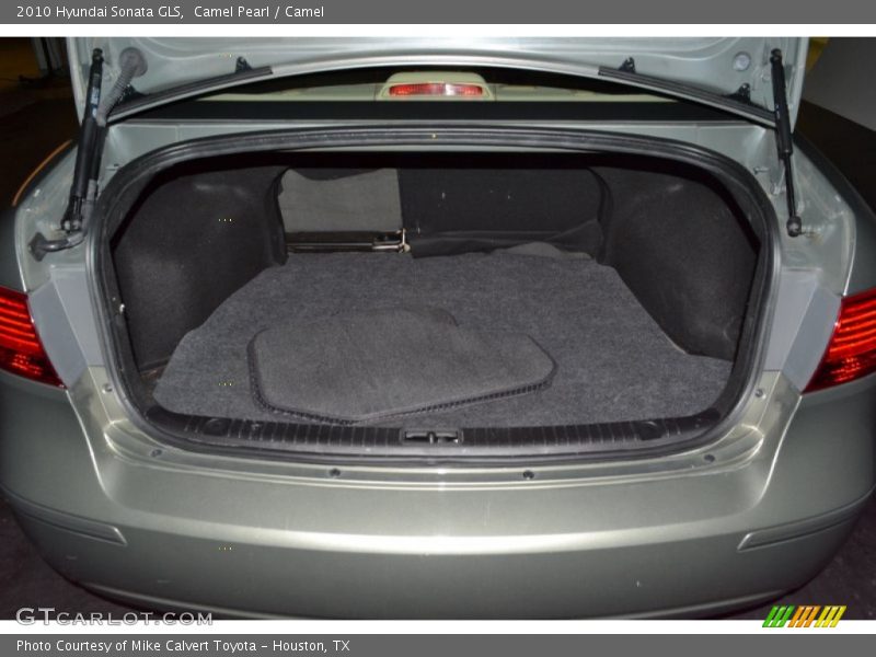 Camel Pearl / Camel 2010 Hyundai Sonata GLS
