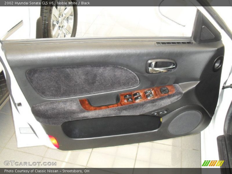 Door Panel of 2002 Sonata GLS V6