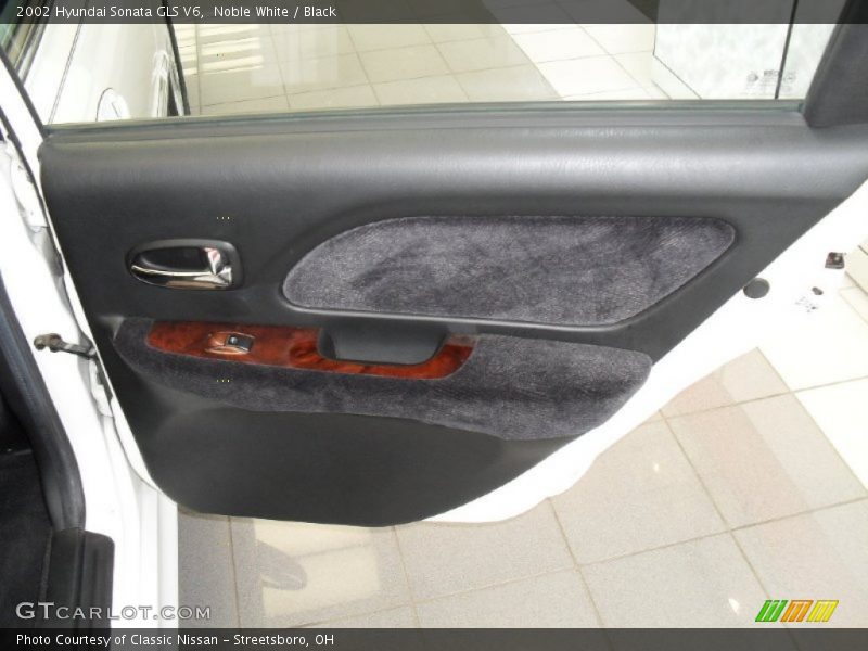 Door Panel of 2002 Sonata GLS V6