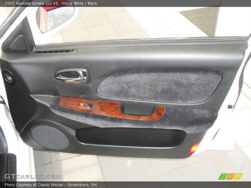 Door Panel of 2002 Sonata GLS V6