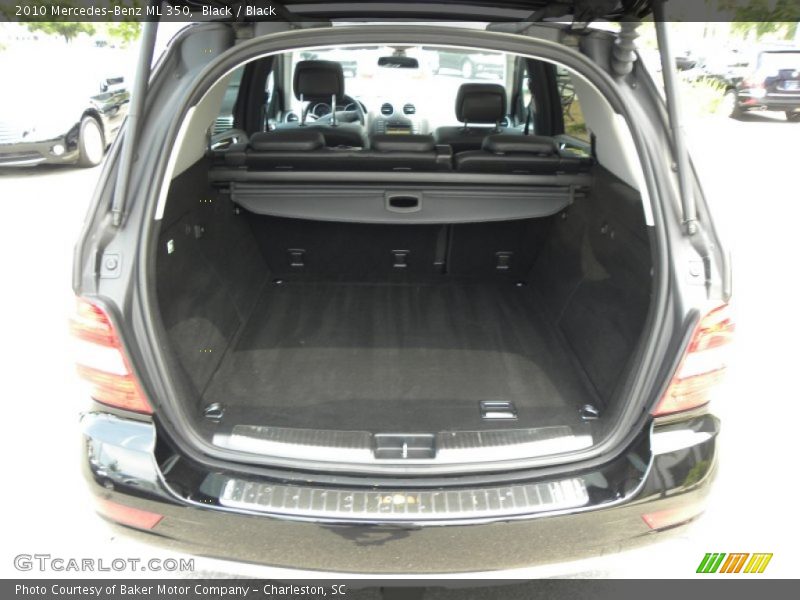 Black / Black 2010 Mercedes-Benz ML 350