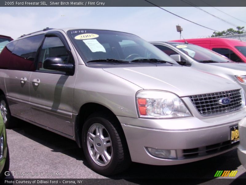 Silver Birch Metallic / Flint Grey 2005 Ford Freestar SEL