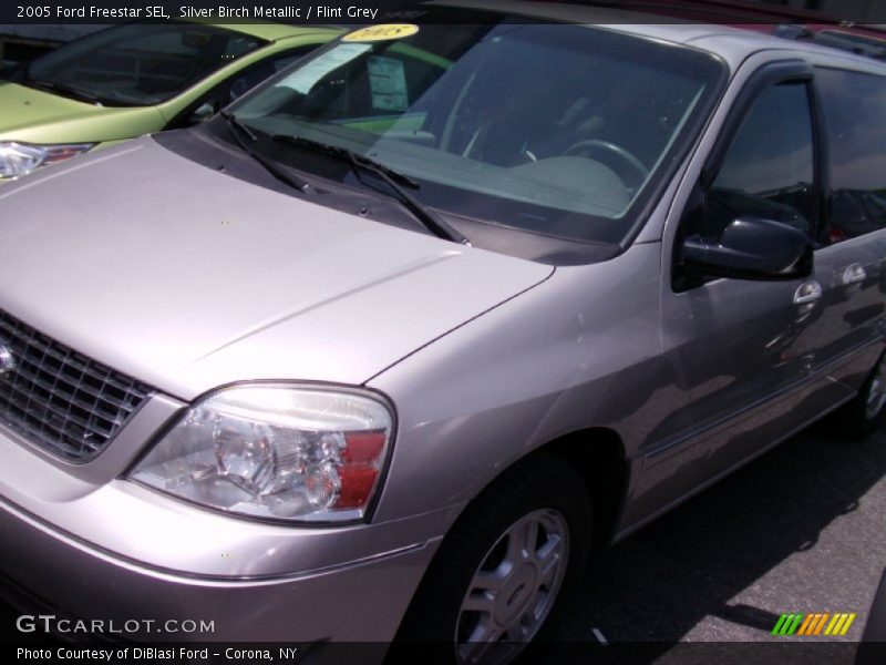 Silver Birch Metallic / Flint Grey 2005 Ford Freestar SEL