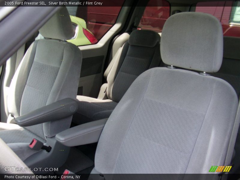 Silver Birch Metallic / Flint Grey 2005 Ford Freestar SEL