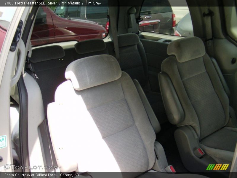 Silver Birch Metallic / Flint Grey 2005 Ford Freestar SEL