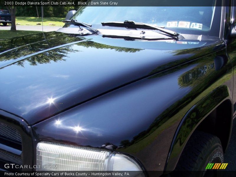 Black / Dark Slate Gray 2003 Dodge Dakota Sport Club Cab 4x4