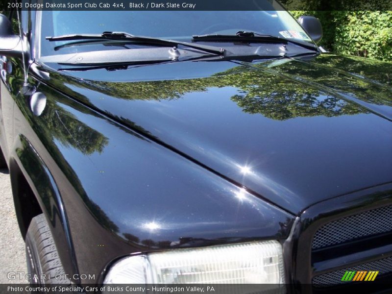 Black / Dark Slate Gray 2003 Dodge Dakota Sport Club Cab 4x4