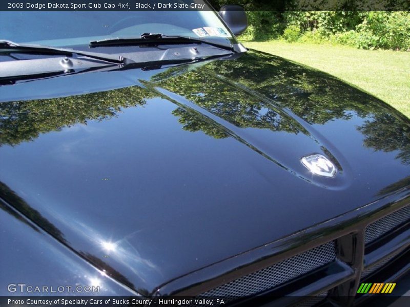 Black / Dark Slate Gray 2003 Dodge Dakota Sport Club Cab 4x4
