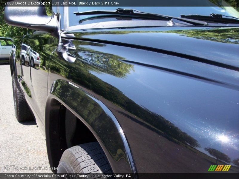 Black / Dark Slate Gray 2003 Dodge Dakota Sport Club Cab 4x4