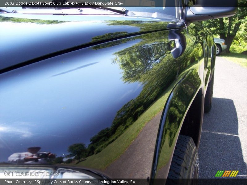 Black / Dark Slate Gray 2003 Dodge Dakota Sport Club Cab 4x4