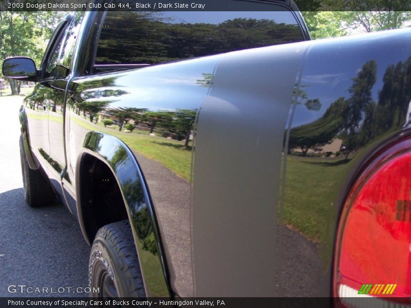 Black / Dark Slate Gray 2003 Dodge Dakota Sport Club Cab 4x4
