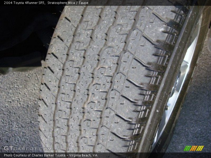 Stratosphere Mica / Taupe 2004 Toyota 4Runner SR5
