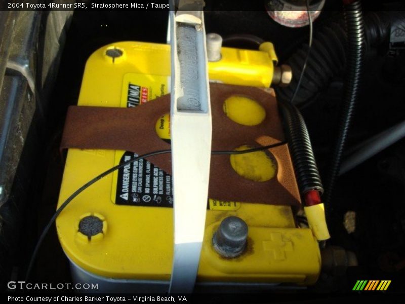 Stratosphere Mica / Taupe 2004 Toyota 4Runner SR5