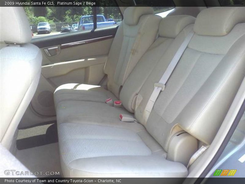 Platinum Sage / Beige 2009 Hyundai Santa Fe GLS