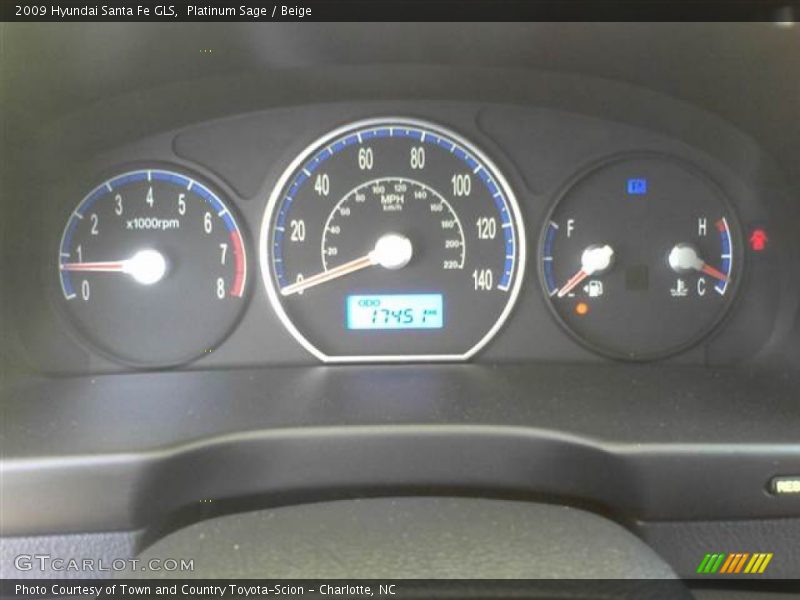 Platinum Sage / Beige 2009 Hyundai Santa Fe GLS