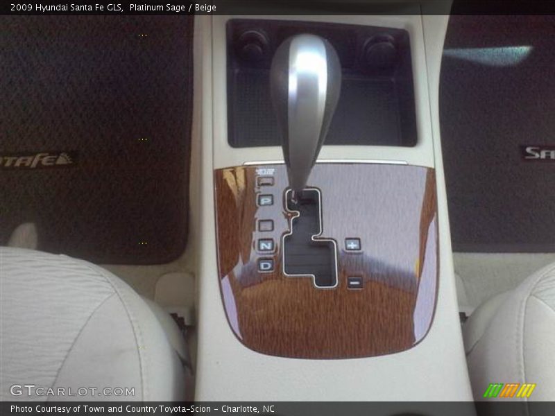 Platinum Sage / Beige 2009 Hyundai Santa Fe GLS