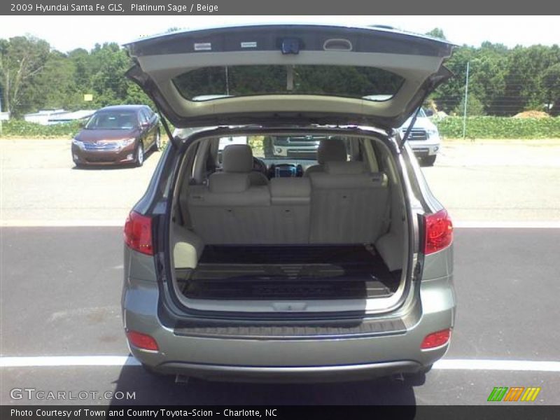 Platinum Sage / Beige 2009 Hyundai Santa Fe GLS