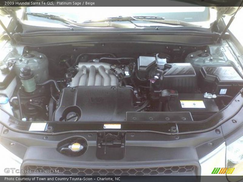 Platinum Sage / Beige 2009 Hyundai Santa Fe GLS