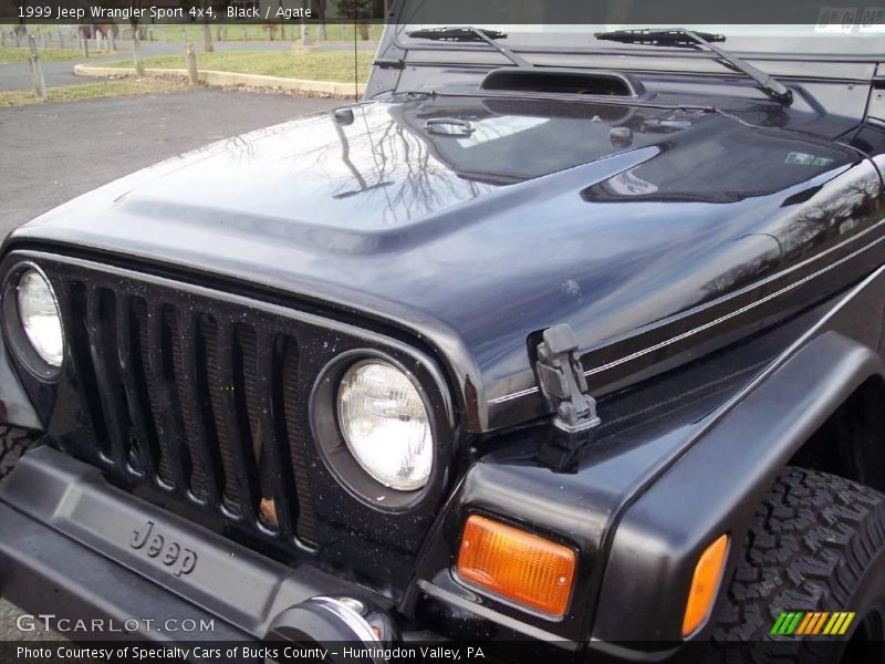 Black / Agate 1999 Jeep Wrangler Sport 4x4