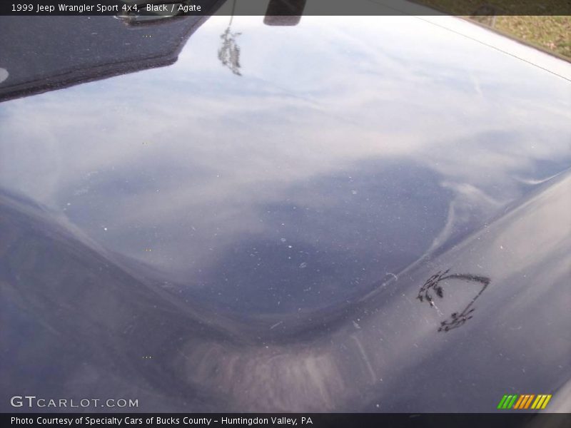 Black / Agate 1999 Jeep Wrangler Sport 4x4