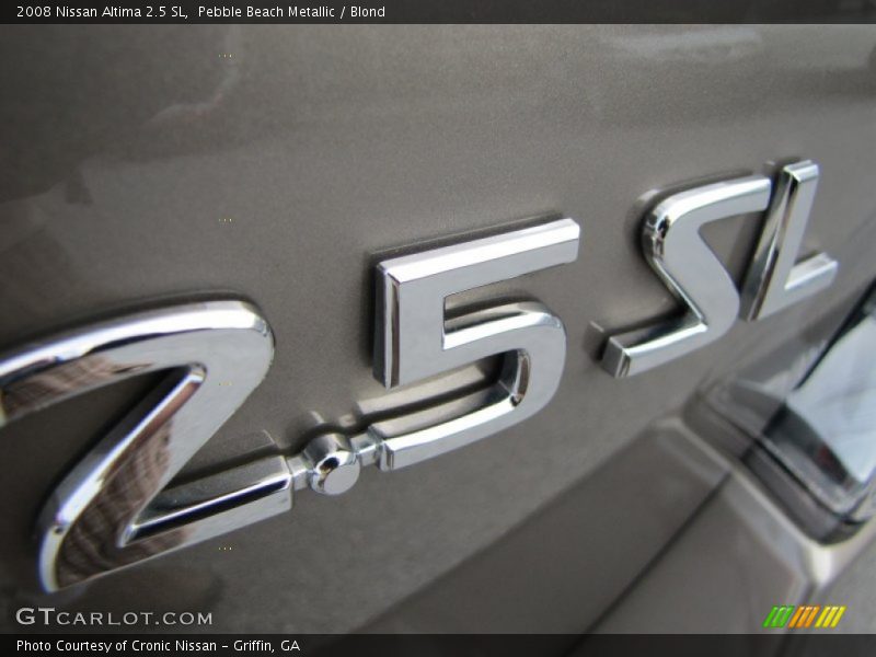 Pebble Beach Metallic / Blond 2008 Nissan Altima 2.5 SL