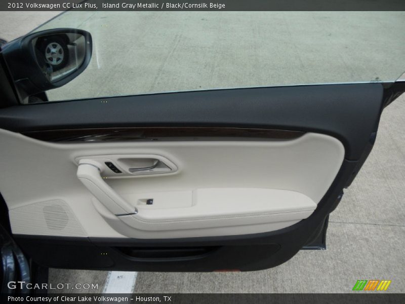 Door Panel of 2012 CC Lux Plus