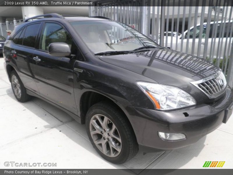  2009 RX 350 AWD Truffle Mica