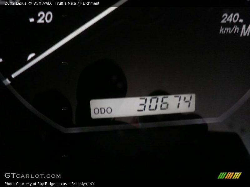 Truffle Mica / Parchment 2009 Lexus RX 350 AWD