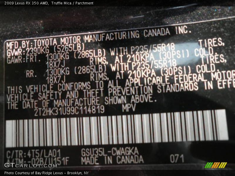 2009 RX 350 AWD Truffle Mica Color Code 4T5