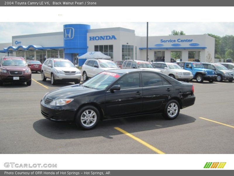 Black Walnut Pearl / Stone 2004 Toyota Camry LE V6