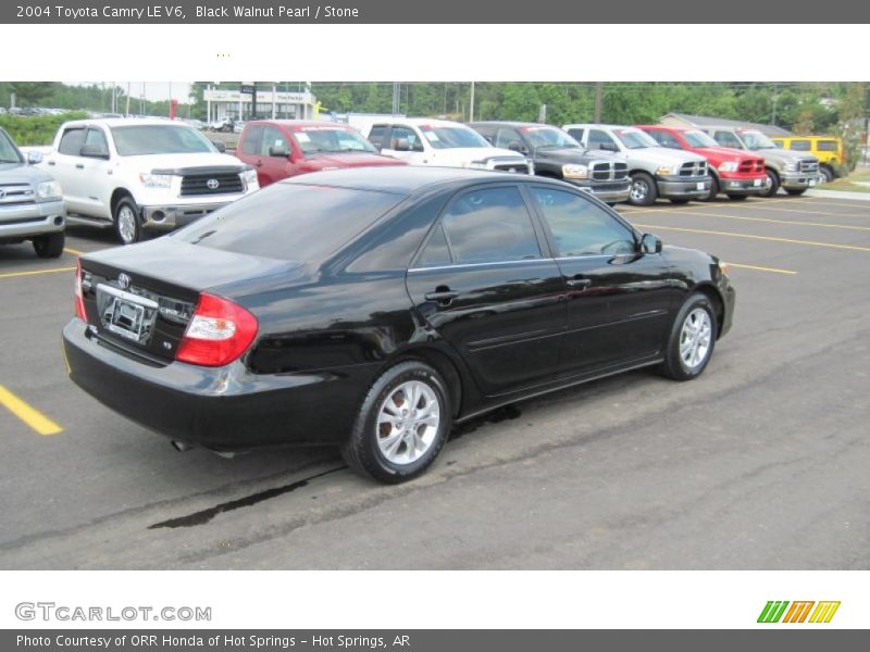 Black Walnut Pearl / Stone 2004 Toyota Camry LE V6